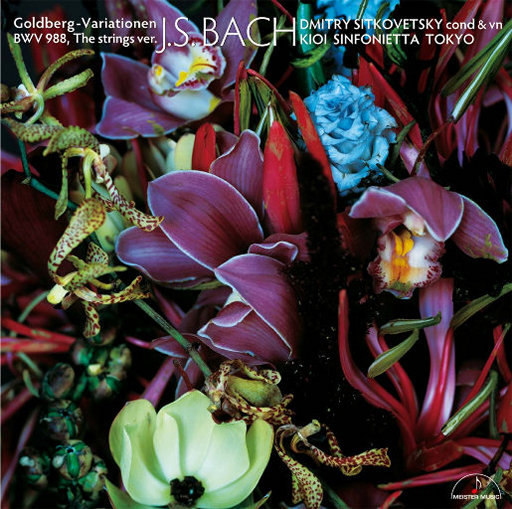 老公在洗澡我被公干日本
